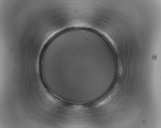 X0000094460391200711291726