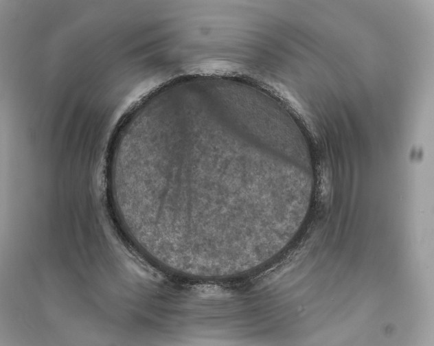 X0000094460392200711291726