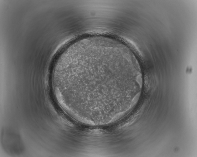 X0000094460396200711291726