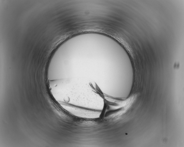 X0000094460397200711291726