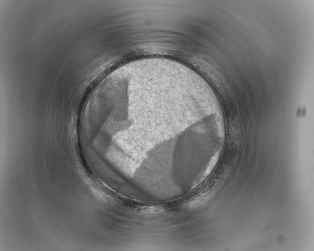 X0000094460398200711291726