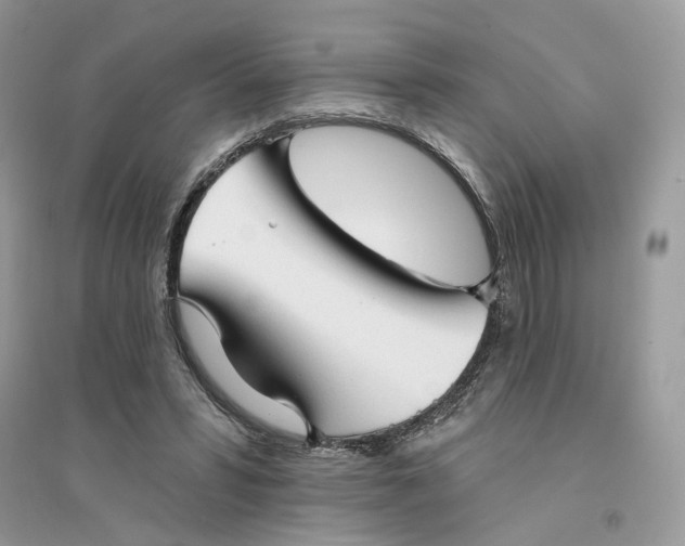 X0000094460399200711291726