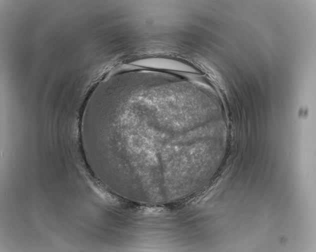 X0000094460401200711291726