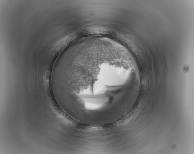 X0000094460402200711291726