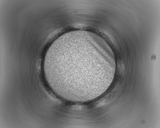 X0000094460404200711291726