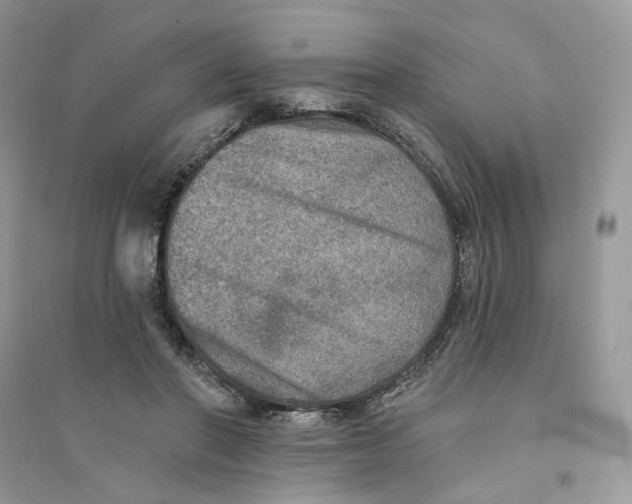 X0000094460406200711291726