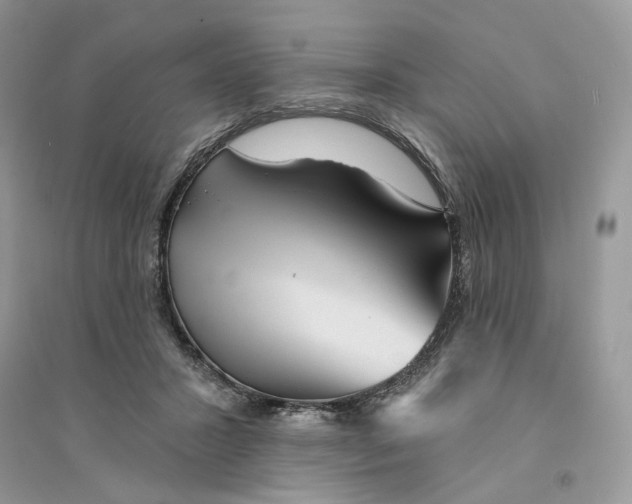 X0000094460407200711291726