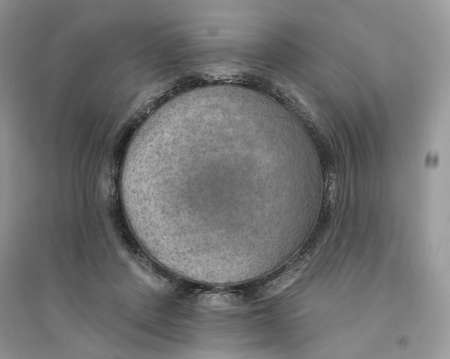 X0000094460408200711291726