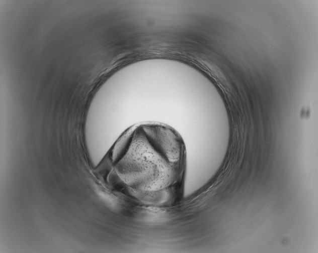 X0000094460409200711291726