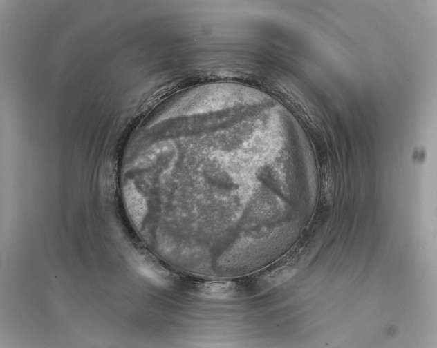 X0000094460410200711291726