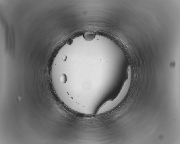 X0000094460411200711291726