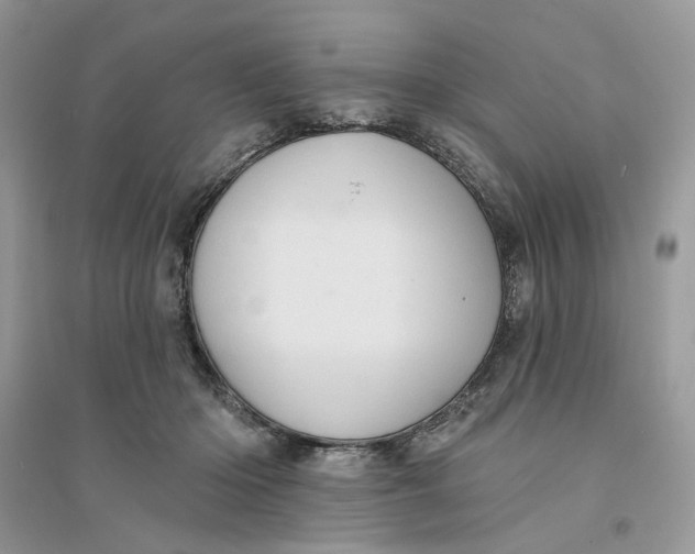 X0000094460414200711291726