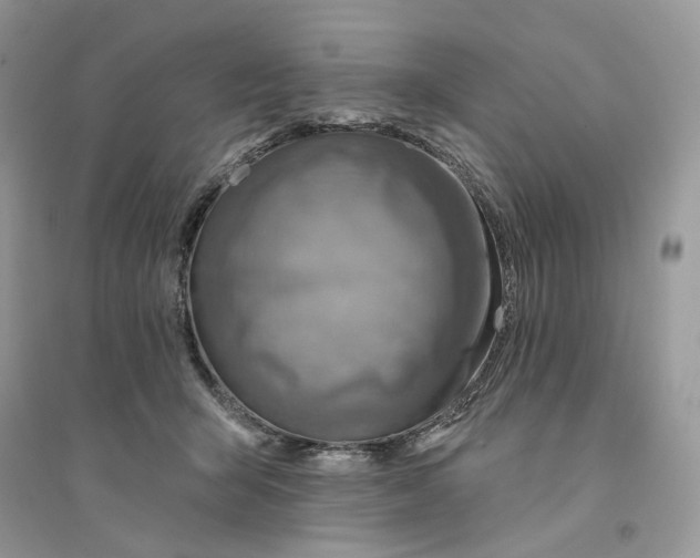 X0000094460415200711291726