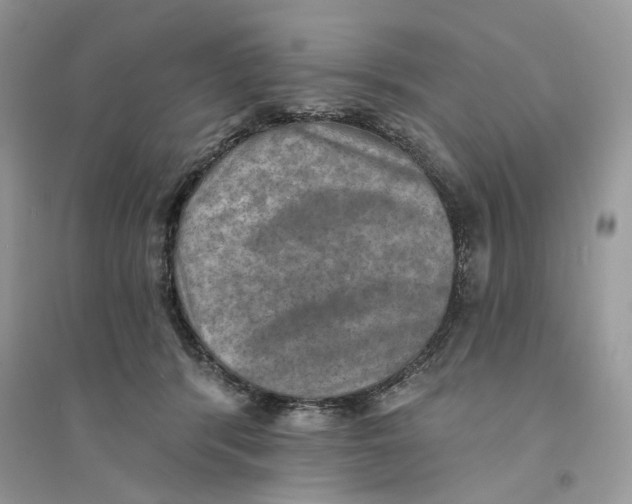 X0000094460416200711291726