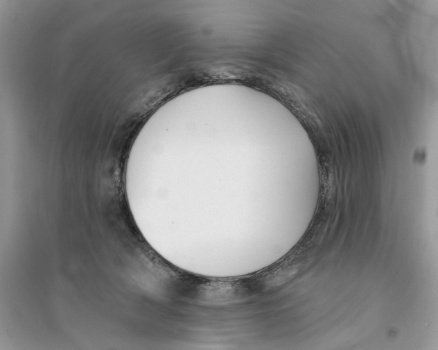 X0000094460418200711291726