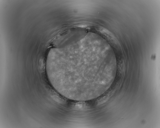 X0000094460420200711291726