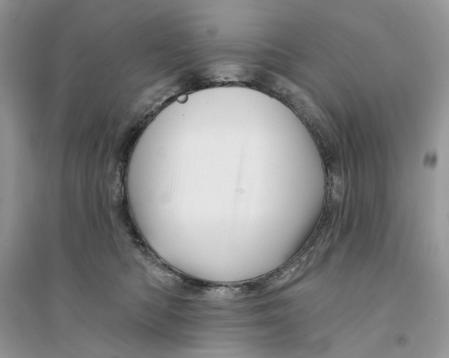 X0000094460422200711291726