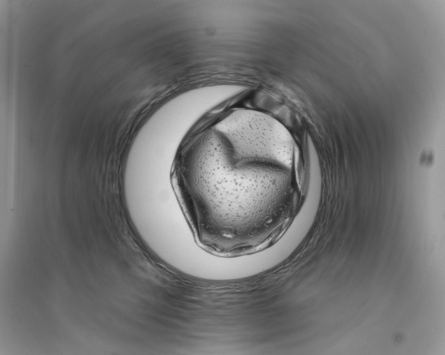 X0000094460423200711291726