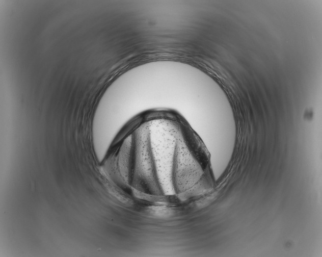 X0000094460425200711291726