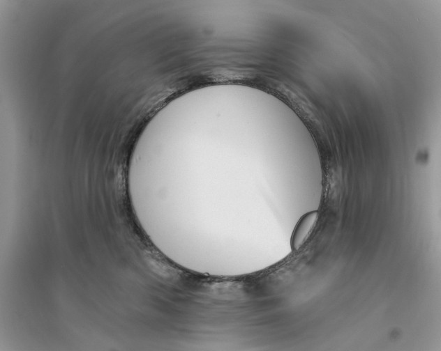 X0000094460426200711291726