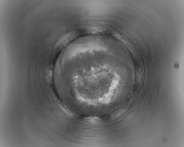 X0000094460427200711291726