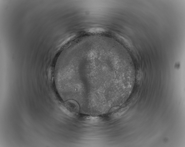 X0000094460428200711291726