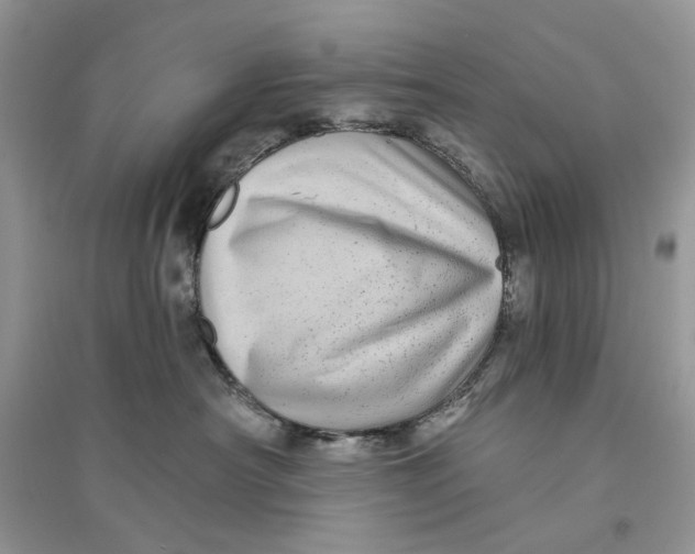 X0000094460430200711291726