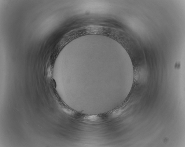 X0000094460431200711291726