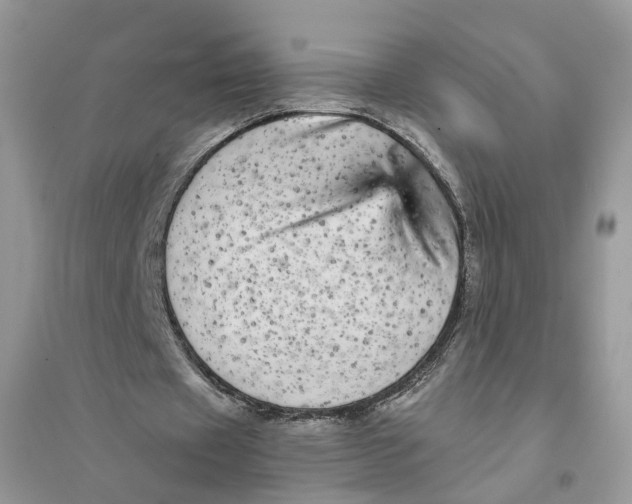 X0000094460433200711291725