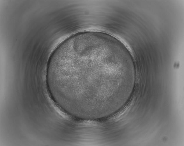 X0000094460437200711291725