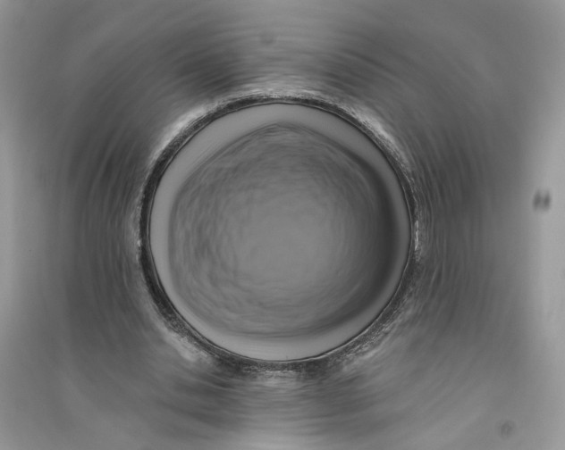 X0000094460438200711291725