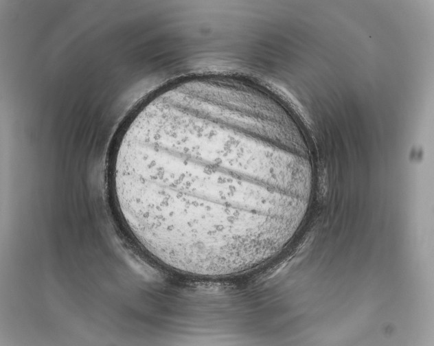 X0000094460439200711291725