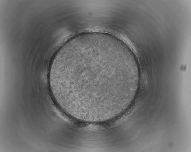 X0000094460441200711291725