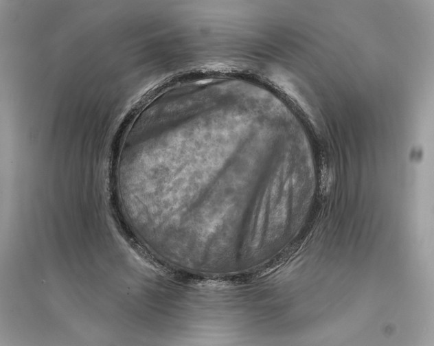 X0000094460444200711291725