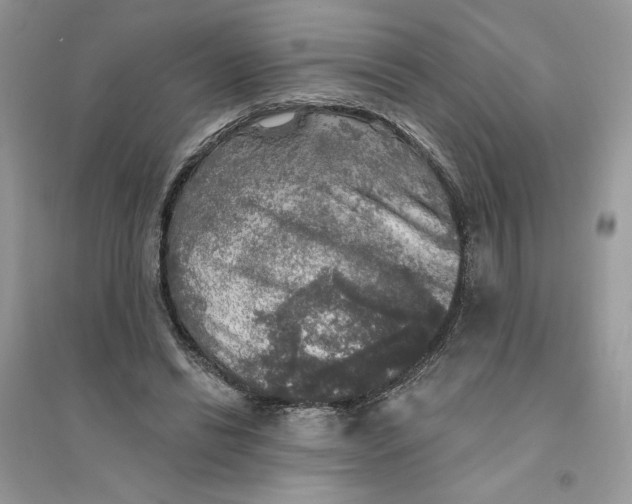 X0000094460446200711291725