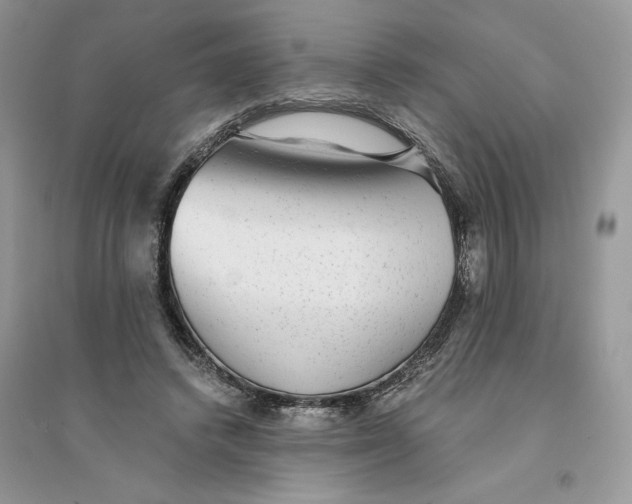 X0000094460448200711291725