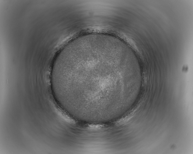 X0000094460450200711291725