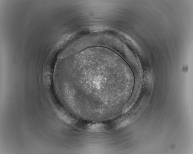 X0000094460452200711291725