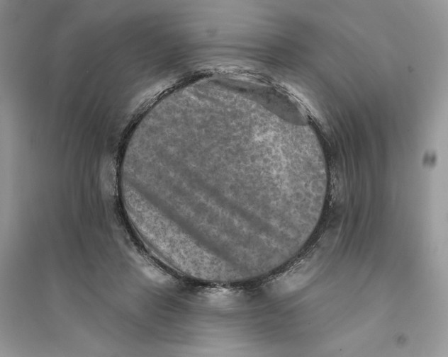 X0000094460453200711291725