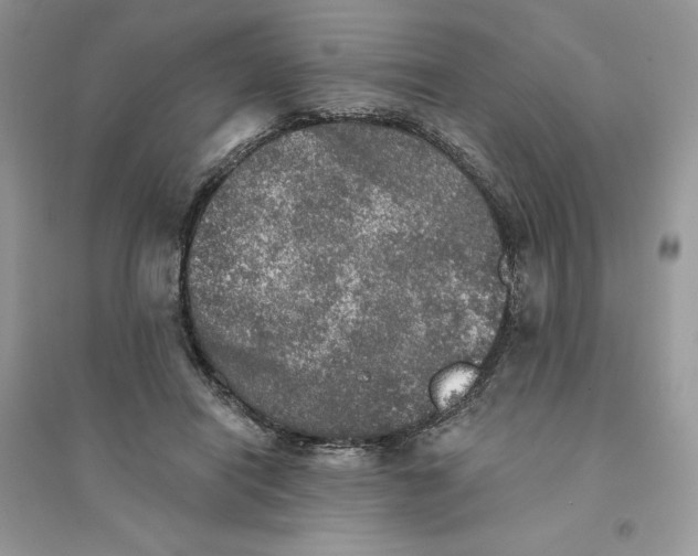 X0000094460454200711291725