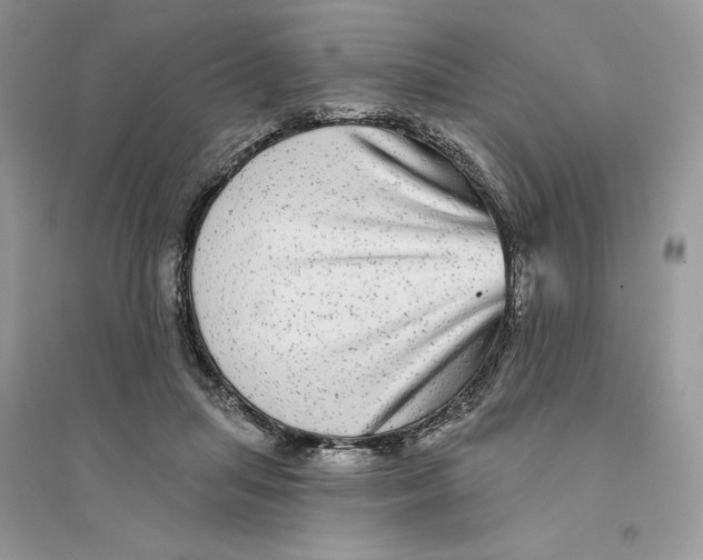 X0000094460455200711291725