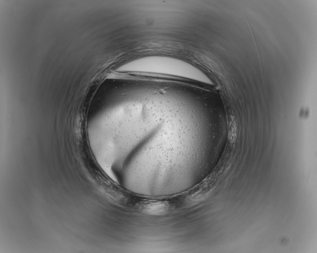 X0000094460456200711291726