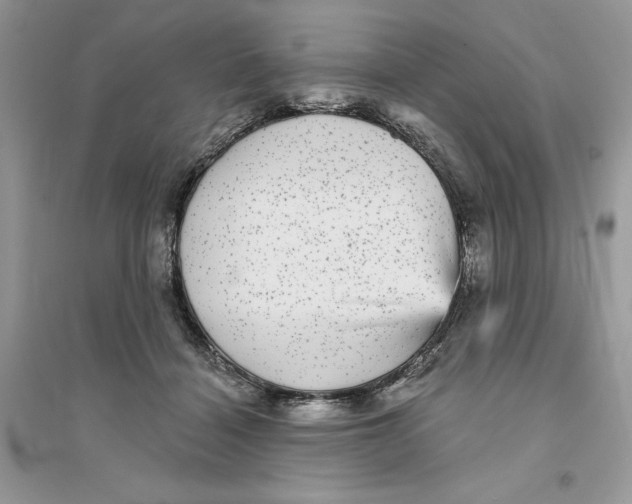 X0000094460460200711291726