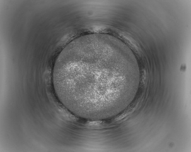 X0000094460461200711291726