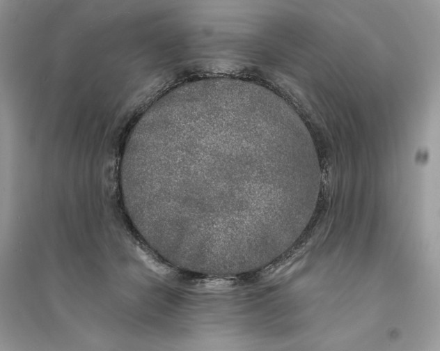 X0000094460462200711291726