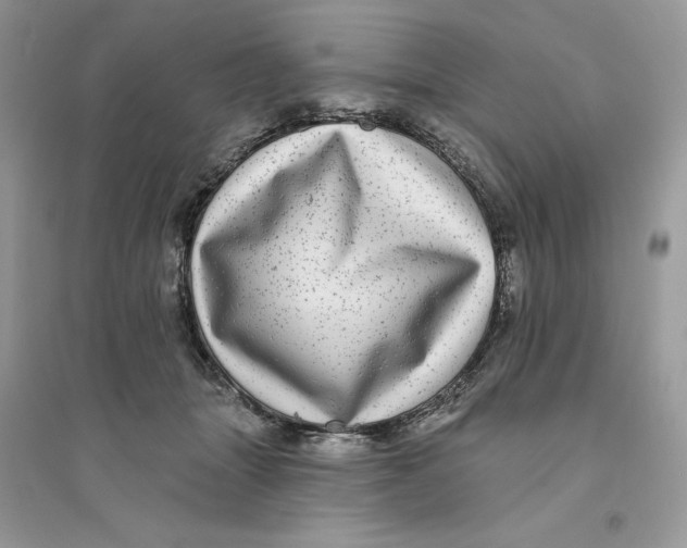 X0000094460463200711291726