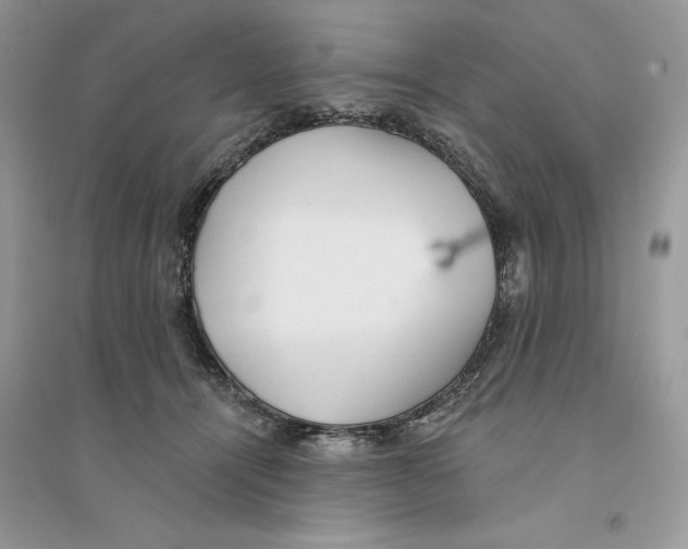 X0000094460464200711291726