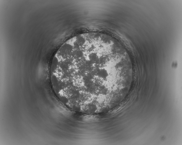 X0000094460465200711291726