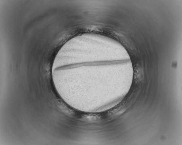 X0000094460466200711291726