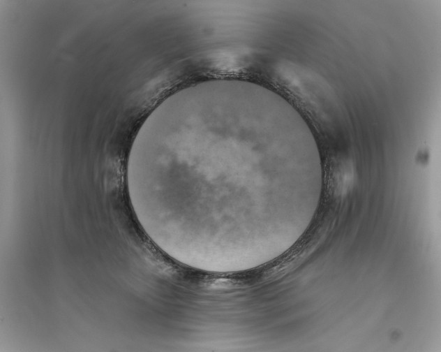 X0000094460467200711291726